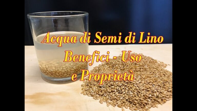 Semi di lino: quando assumerli, al mattino o alla sera?